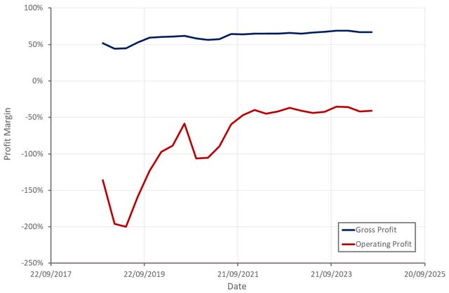 Snowflake Profit Margins